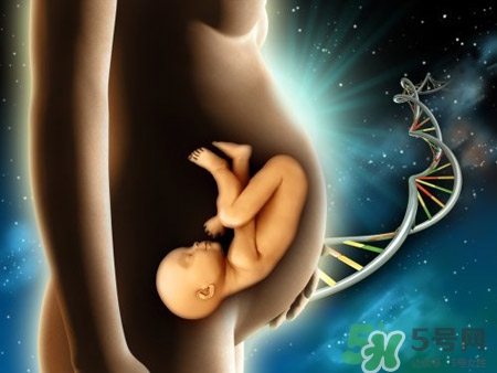 愛樂維國產的好還是國外的好？愛樂維國產和進口的區(qū)別