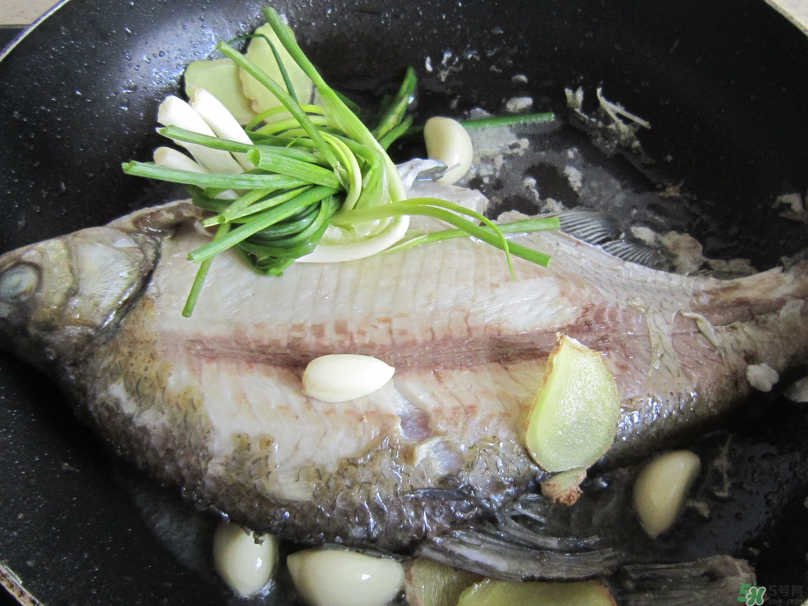 三伏灸可以吃魚嗎？三伏灸可以吃什么魚？