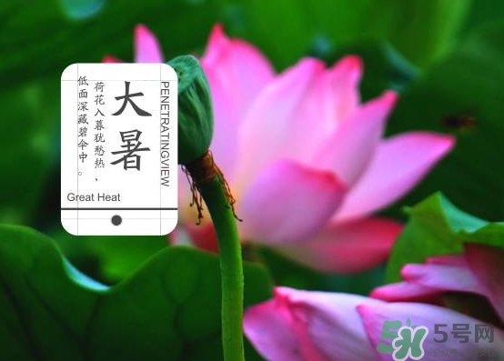 大暑和處暑是什么意思？大暑熱還是處暑熱？