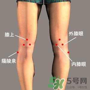 三伏灸可以治腰腿痛嗎？三伏灸治腰腿痛灸哪里》