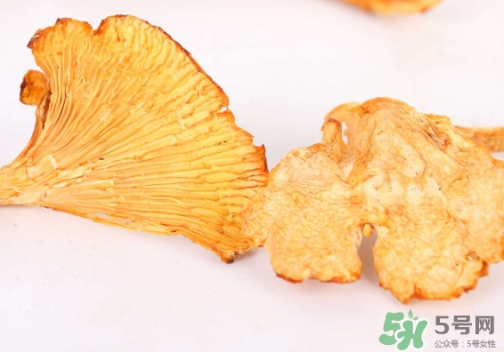 雞油菌多少錢一斤？雞油菌和雞樅菌有什么區(qū)別