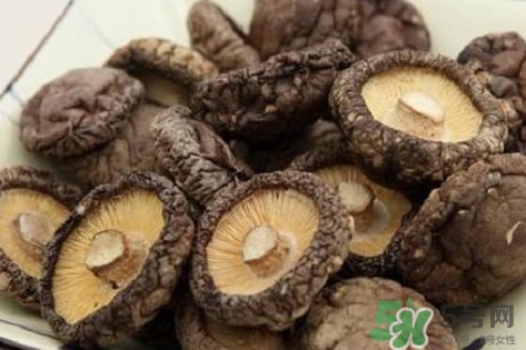 香菇是蘑菇嗎？香菇和蘑菇有什么區(qū)別