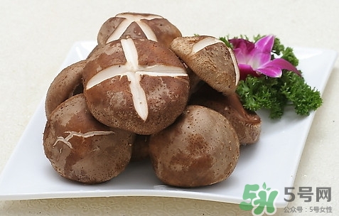 香菇是發(fā)物嗎？香菇是干的好還是新鮮的好