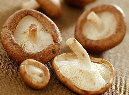 干香菇為什么比鮮香菇味道好？香菇為什么要曬干了再泡來吃