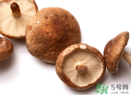 香菇是蘑菇嗎？香菇和蘑菇有什么區(qū)別