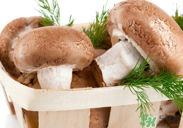 買香菇怎么挑選？干香菇怎么挑選？