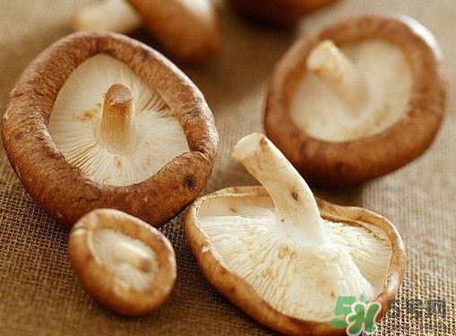 買香菇怎么挑選？干香菇怎么挑選？