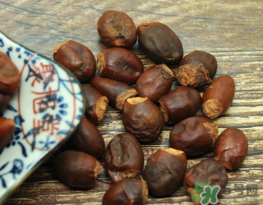 龍眼核能種嗎？龍眼核怎么種盆栽