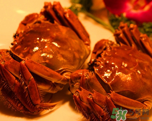 六月黃大閘蟹好吃嗎？六月黃和大閘蟹有什么區(qū)別？