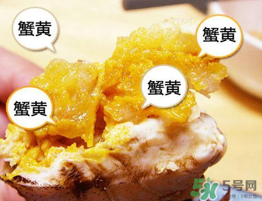 六月黃大閘蟹好吃嗎？六月黃和大閘蟹有什么區(qū)別？