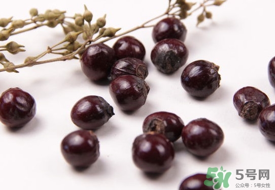 龍眼核能種嗎？龍眼核怎么種盆栽