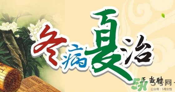 三伏灸要灸幾次？三伏灸要灸多久？