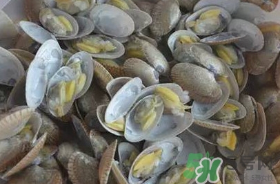 花蛤蜊什么時(shí)候最肥？花蛤蜊怎么挑選