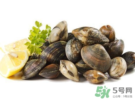 白蛤蜊和花蛤蜊哪個(gè)泥沙多？花蛤蜊怎么清洗干凈