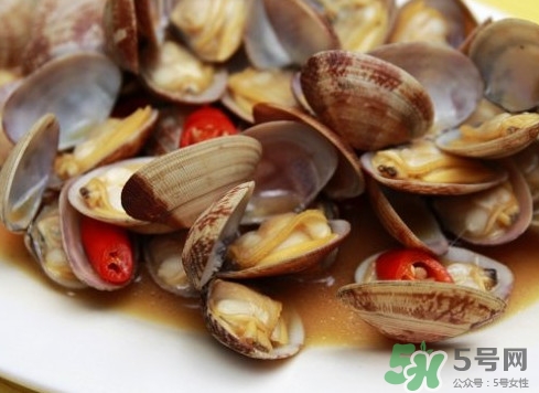 花蛤如何快速吐沙子？花蛤吐沙鹽水比例多少？