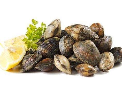 花蛤蜊與什么不能同食？花蛤蜊和什么相克