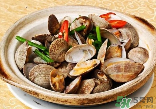 花蛤如何快速吐沙子？花蛤吐沙鹽水比例多少？