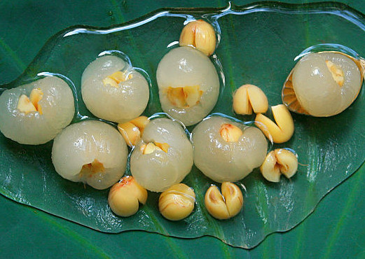 龍眼和黃皮可以一起吃嗎？黃皮能和龍眼一起吃嗎