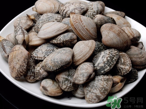 花蛤如何快速吐沙子？花蛤吐沙鹽水比例多少？