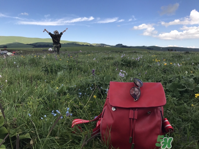 去新疆旅游攻略 去新疆旅游推薦路線(xiàn)