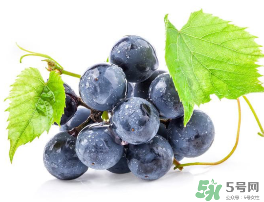 夏黑葡萄為什么掉色？夏黑葡萄怎么會(huì)染色？