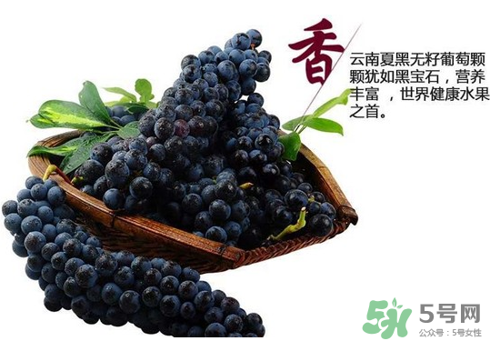 夏黑葡萄怎么保存？夏黑葡萄可以放冰箱嗎？