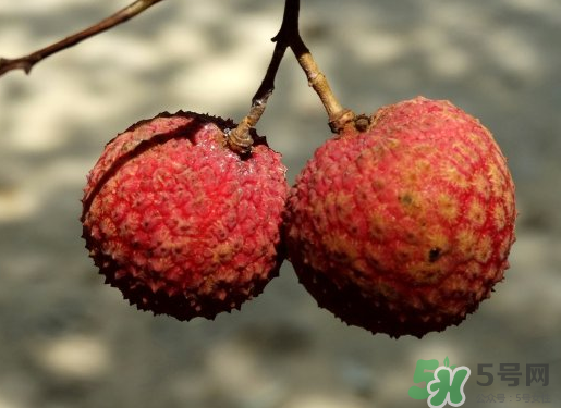 七月份還有荔枝嗎？7月份還有荔枝嗎？                                                                                                                                                                                                                                                                                                                                                                                                                                                                                                                                                                                                                                                                                                                                                                                                                                                                                                                                                                                                                                                                                                                                                                                                                                                                                                                                                                                                                                                                                                                                                                                                                                                                                                                                                                                                                                                                                                                                                                                                                                                                                                                                                                                                                                                                                                                                                                                                                                                                                                                                                                                                                                                                                                                                                                                                                                                                                                                                                                                                                                                                                                                                                                                                                                                                                                                                                                                                                                                                                                                                                                                                                                                                                                                                                                                                                                                                                                                                                                                                                                                                                                                                                                                                                                                                                                                                                                                                                                                                                                                                                                                                                                                                                                                                                                                                                                                                                                                                                                                                                                                                                                                                                                                                                                                                                                                                                                                                                                                                                                                                                                                                                                                                                                                                                                                                                                                                                                                                                                                                                                                                                                                                                                                                                                                                                                                                                                                                                                                                                                                                                                                                                                                                                                                                                                                                                                                                                                                                                                                                                                                                                                                                                                                                                                                                                                                                                                                                                                                                                                                                                                                                                                                                                                                                                                                                                                                                                                                                                                                                                                                                                                                                                                                                                                                                                                                                                                                                                                                                                                                                                                                                                                                                                                                                                                                                                                                                                                                                                                                                                                                                                                                                                                                                                                                                                                                                                                                                                                                                                                                                                                                                                                                                                                                                                                                                                                                                                                                                                                                                                                                                                                                                                                                                                                                                                                                                                                                                                                                                                                                                                                                                                                                                                                                                                                                                                                                                                                                                                                                                                                                                                                                                                                                                                                                                                                                                                                                                                                                                                                                                                                                                                                                                                                                                                                                                                                                                                                                                                                                                                                                                                                                                                                                                                                                                                                                                                                                                                                                                                                                                                                                                                                                                                                                                                                                                                                                                                                                                                                                                                                                                                                                                                                                                                                                                                                                                                                                                                                                                                                                                                                                                                                                                                                                                                                                                                                                                                                                                                                                                                                                                                                                                                                                                                                                                                                                                                                                                                                                                                                                                                                                                                                                                                                                                                                                                                                                                                                                                                                                                                                                                                                                                                                                                                                                                                                                                                                                                                                                                                                                                                                                                                                                                                                                                                                                                                                                                                                                                                                                                                                                                                                                                                                                                                                                                                                                                                                                                                                                                                                                                                                                                                                                                                                                                                                                                                                                                                                                                                                                                                                                                                                                                                                                                                                                                                                                                                                                                                                                                                                                                                                                                                                                                                                                                                                                                                                                                                                                                                                                                                                                                                                                                                   月份還有荔枝嗎？