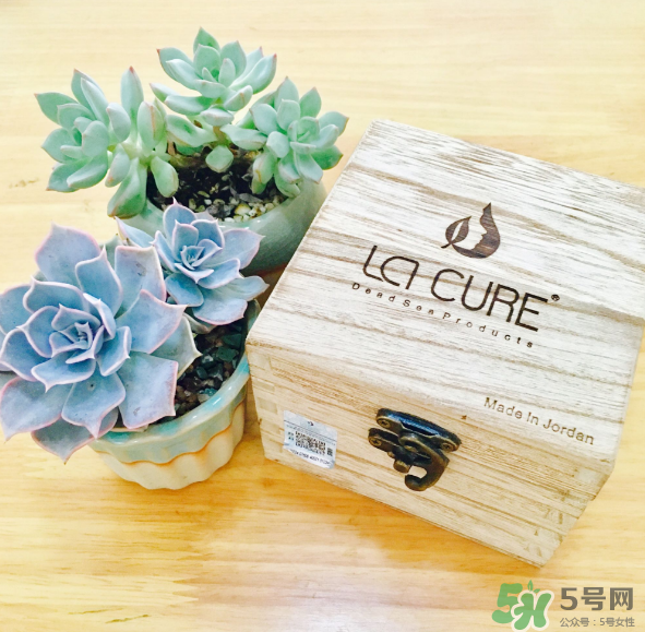 天然死海礦物泥面膜怎么樣？天然死海礦物泥面膜好用嗎？