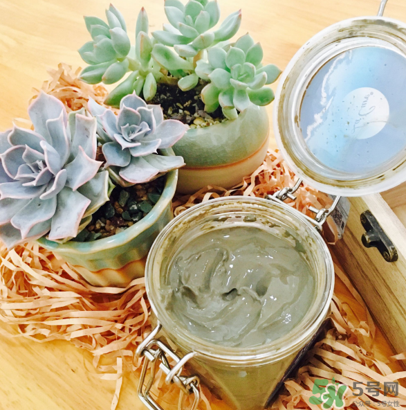 天然死海礦物泥面膜怎么樣？天然死海礦物泥面膜好用嗎？