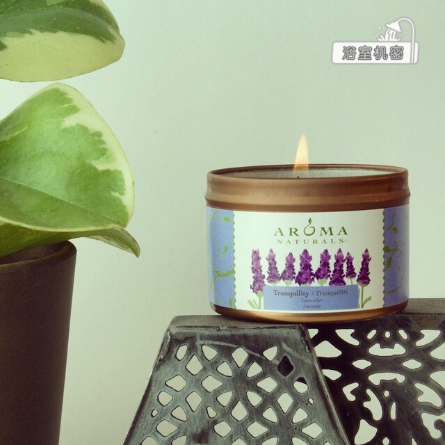 香薰哪個(gè)牌子好 世界香薰品牌排行榜 香薰哪個(gè)牌子好 世界香薰品牌排行榜