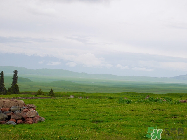 去新疆旅游攻略 去新疆旅游推薦路線(xiàn)