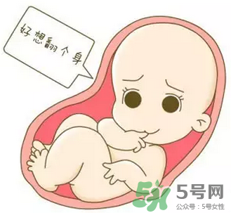 胎位不正能順產(chǎn)嗎？胎位不正怎么辦？