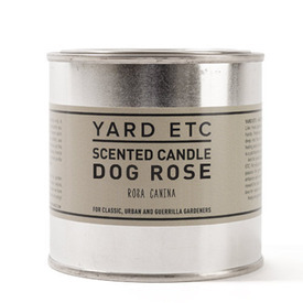 香薰哪個(gè)牌子好 世界香薰品牌排行榜 香薰哪個(gè)牌子好 世界香薰品牌排行榜