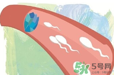 男性避孕藥什么牌子好？男性避孕藥多少錢(qián)一盒？