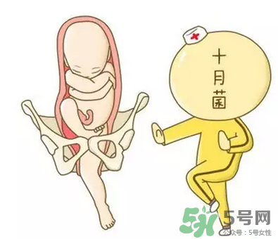 胎位不正能順產(chǎn)嗎？胎位不正怎么辦？