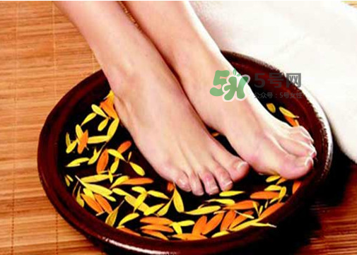 三伏天能用姜泡腳嗎？三伏天用姜泡腳好嗎？