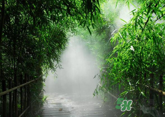 2017大暑會不會下雨？2017大暑下雨好嗎？