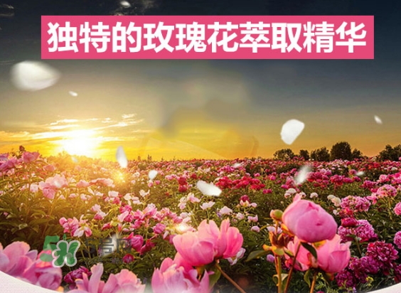 資生堂玫瑰園沐浴露怎么樣？資生堂玫瑰園沐浴露多少錢