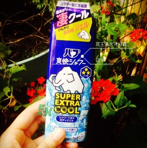 花王kao冰片沐浴露怎么樣？花王冰片沐浴露哪款好？