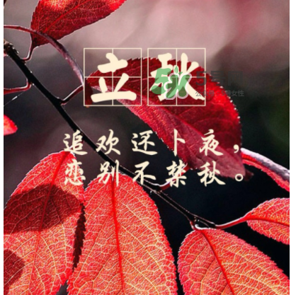 立秋后就是秋天了嗎？立秋后就涼快了嗎？