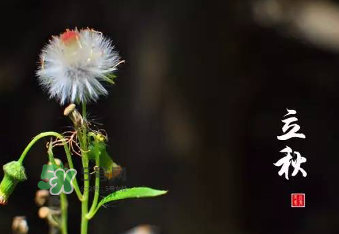 立秋后就是秋天了嗎？立秋后就涼快了嗎？