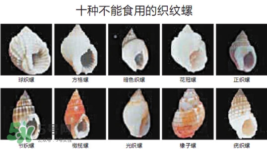 哪些人不能吃田螺？哪些田螺不能吃