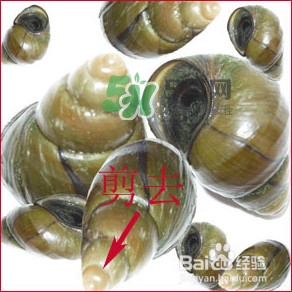 田螺里面都可以吃嗎？田螺不能和什么同食