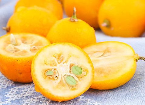 金桔是幾月份的水果？金桔是什么季節(jié)的水果