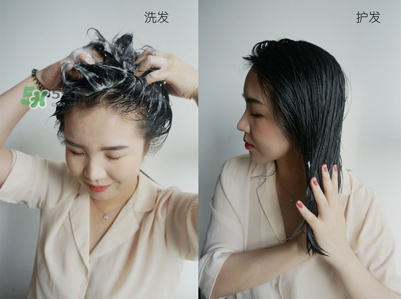 施華蔻斐絲麗洗發(fā)水怎么樣 施華蔻無硅油洗發(fā)水怎么樣 施華蔻斐絲麗洗發(fā)水怎么樣 施華蔻無硅油洗發(fā)水怎么樣