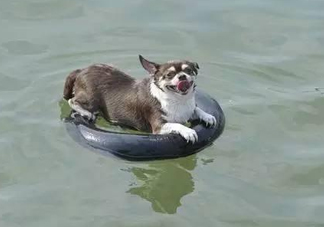 三伏天為什么會很熱？三伏天太熱怎么辦？