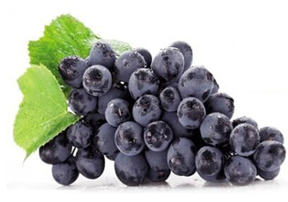 夏黑葡萄是轉(zhuǎn)基因嗎？夏黑無籽葡萄是不是轉(zhuǎn)基因的？