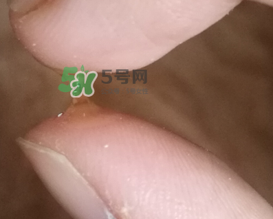 SKINCEUTICALS修麗可夜間精華怎么樣_好用嗎？