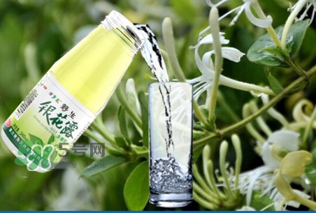 金銀花露是涼性的嗎？喝金銀花露有什么好處