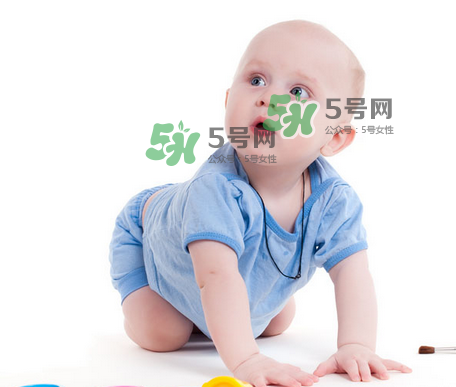 適合0-1歲的寶寶繪本 適合1歲一下寶寶的繪本推薦 適合0-1歲的寶寶繪本 適合1歲一下寶寶的繪本推薦